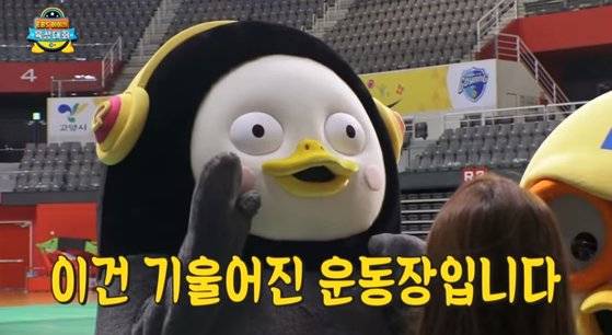 EBS 아이돌 육상대회(이육대)에 참가해 불공정한 경기라며 항의하는 펭수. ['자이언트 펭TV' 유튜브 캡처]