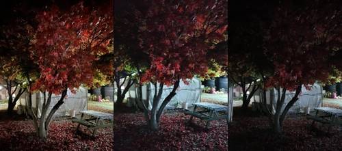 아이폰11프로-갤럭시노트10(야간모드)-갤럭시노트10(일반모드) 사진 비교 왼쪽부터 아이폰 11프로-갤럭시노트10(야간모드)-갤럭시노트10(일반모드)으로 찍은 사진. [촬영 채새롬]