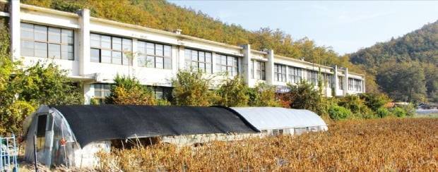< 인구감소로 폐교된 의성 신평중학교 > 한때 학생 수가 250여 명에 달했던 경북 의성 신평중학교는 인구 감소를 버티지 못하고 결국 2007년 폐교했다. 학교 운동장이 있던 자리에 비닐하우스와 고추밭이 들어서 있다.   /노경목  기자