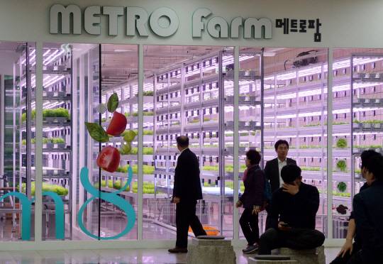5일 서울 지하철 7호선 상도역 지하 1층 ‘메트로팜’ 앞을 지나는 시민들이 수직농장을 신기한 듯 바라보고 있다.  김낙중 기자