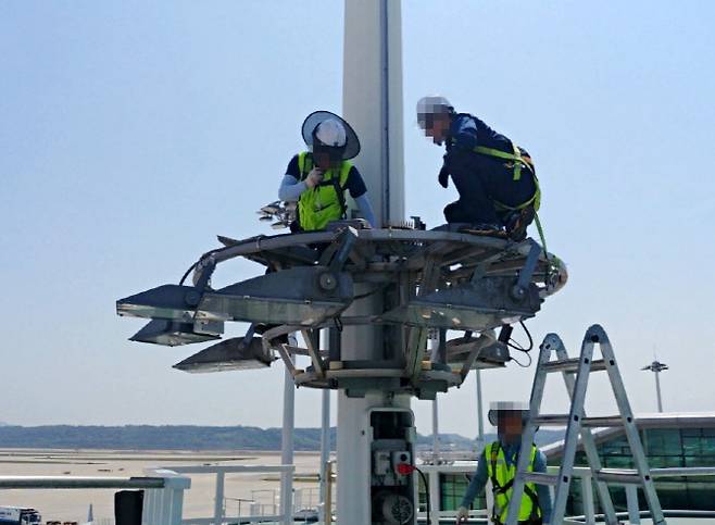 인천공항시설관리㈜ 직원들이 인천공항 제1여객터미널 계류장 조명탑에서 점검작업을 하고 있다.