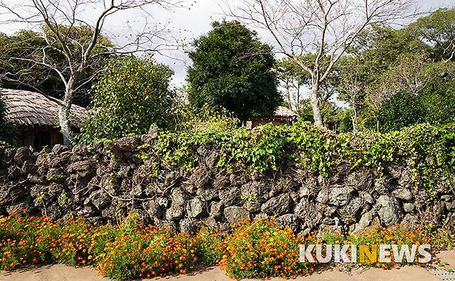 제주의 담은 밭담, 산중의 잣성, 민가의 돌담까지 특별한 기교 없이 비슷한 크기의 돌들을 쌓아 올렸을 뿐인데도 비바람에 무너지지 않고 송악과 담쟁이를 키운다.