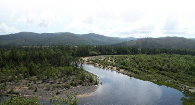 아무르강. [KBS 제공]