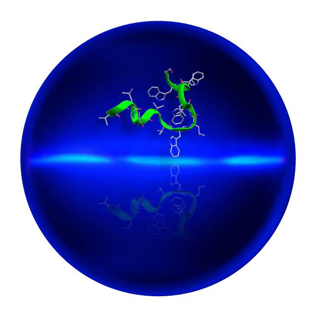 오스트리아와 미국 연구팀이 최초로 생체분자를 이용해 파동-입자 이중성을 증명했다. 모든 물질은 파동의 성질을 갖지만, 양자역학이 통하는 질량이 크면 파장이 너무 작아 거시세계에서는 의미가 없고 미시세계에서만 의미가 있다. 따라서 단일 입자가 아닌 더 큰 분자에서 물질파가 이중성을 보이는지, 생체분자에서도 보이는지 관심이 많았는데, 연구팀이 생체분자를 대상으로 실험으로 확인하는 데 성공했다. 사진은 이번 실험에 이용된 생체분자인 그라미시딘의 분자구조다. 빈대 제공
