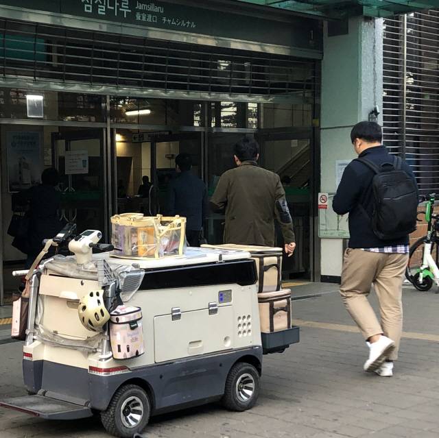 기자가 매일 아침 출근길 마주치는 ‘코코’의 모습.