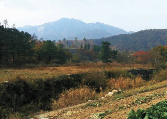 저 멀리 운악산. 집 앞으로 흐르는 거울 같은 개울에는 산메기가 산다.