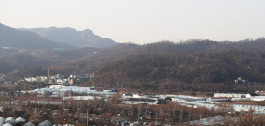 과천은 과천동, 주암동 일대가 택지로 지정됐으며 7000호가 공급될 예정이다.<연합뉴스>