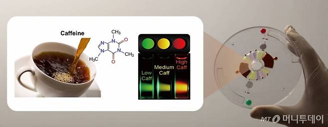 커피·탄산음료 카페인 농도 측정 간편해진다_연구그림/제공=UNIST / 사진제공=1