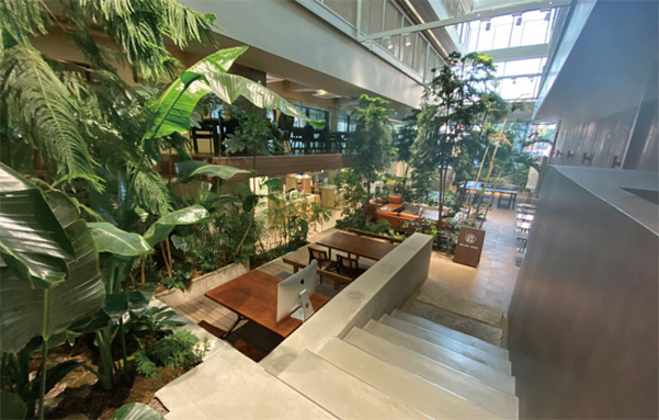 트리하우스 라운지. 방마다 작은 주방이 있지만 라운지에 있는 공동 주방을 이용하는 사람이 많다. 다양한 요리를 해 먹고 거주자 간 소통할 수 있는 공간이다./ 김유정 기자