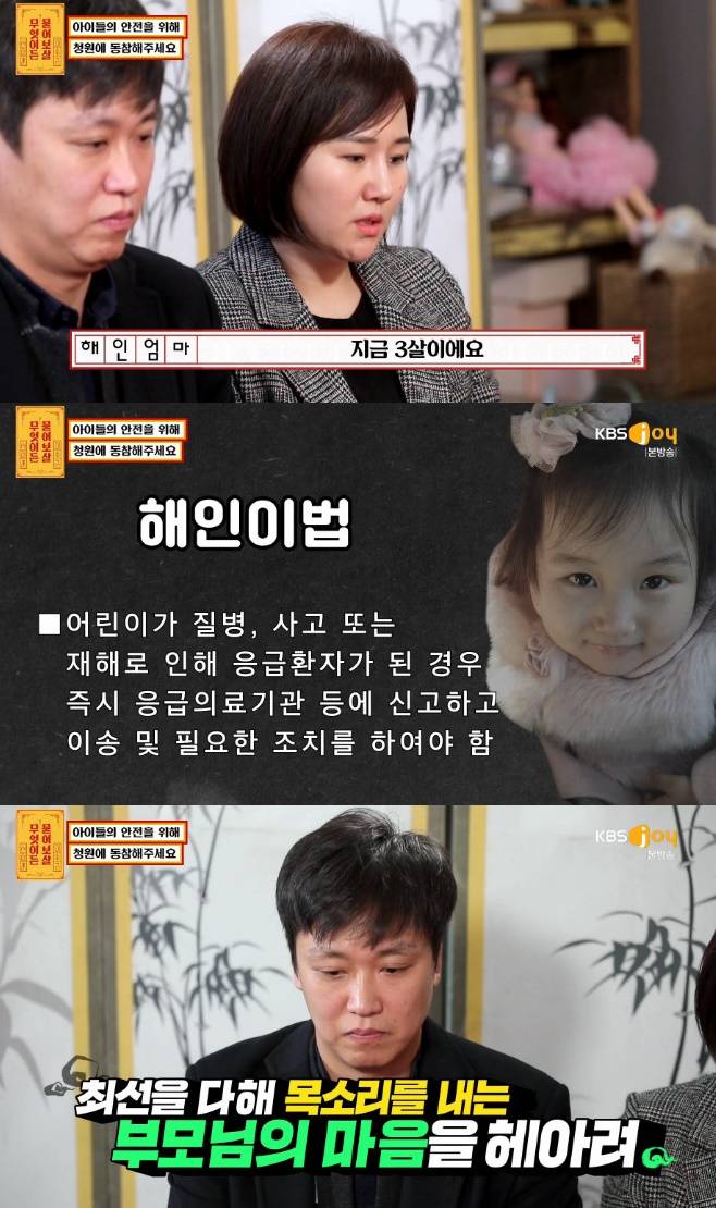 해인이법