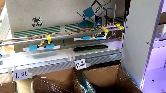 사진제공: 노정석 대표 & SWDW