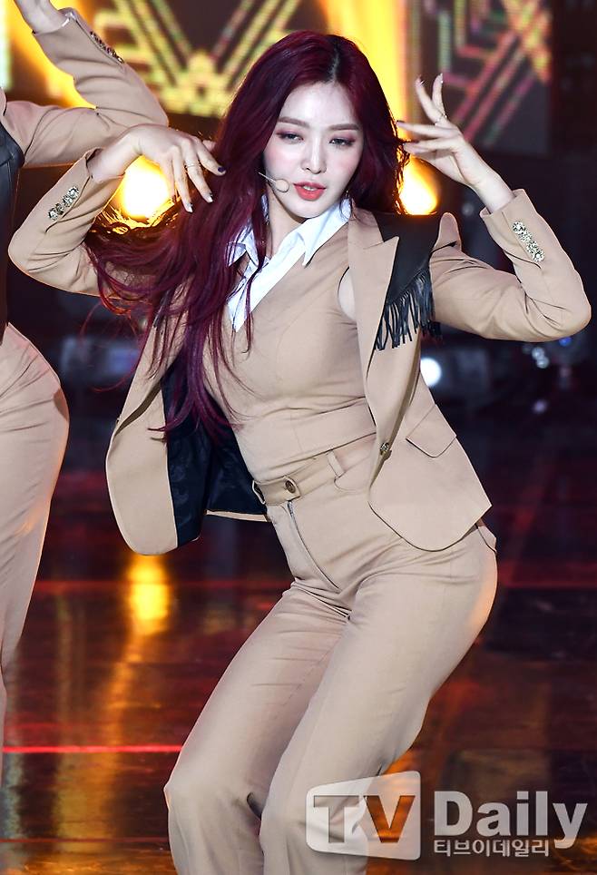 티브이데일리 포토