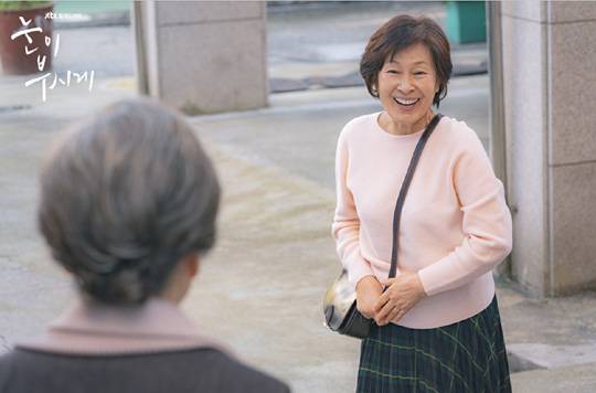 눈이 부시게(JTBC·2019)