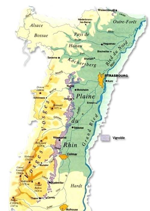 알자스 위치와 와인루트