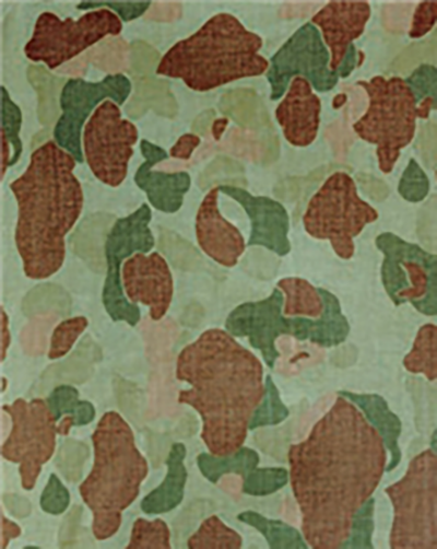 1940년대 미 해병대의 개구리 패턴 /출처= ⓒ위키미디어커먼스