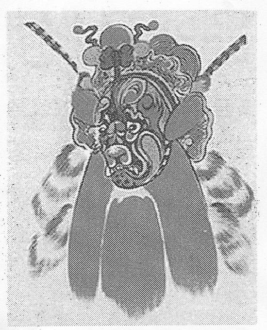 중국 경극에 등장하는 연개소문의 모습 : 중국 경극에서 연개소문은 부정적인 인물로 그려지고 있다.