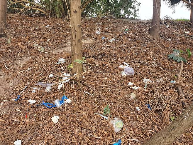 지난달 26일 중국 동탄의 중국 철갑상어 보호구역에 쓰레기들이 버려져 있다. 진창일 기자