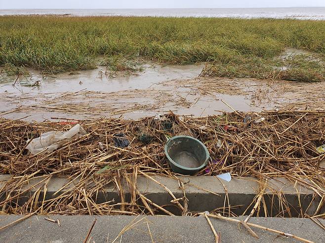 지난달 25일 상하이 인근 양쯔강 하구 난후이의 강변에서 찾은 쓰레기들. 진창일 기자