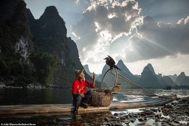 사진작가 줄리아 윔머린이 촬영한 중국 계림 이강의 어부와 가마우지. [사진작가 줄리아 윔머린]