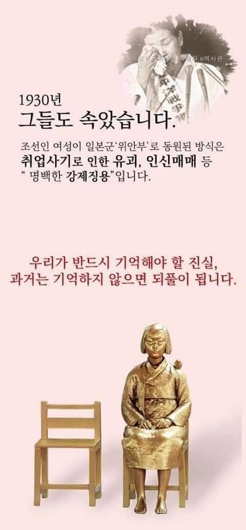 평범해 보이는 채용 공고물의 QR코드를 인증하면 나오는 일본군 위안부 피해자의 사진과 강제 징용에 대한 글귀/사진=온라인 홈페이지 캡처