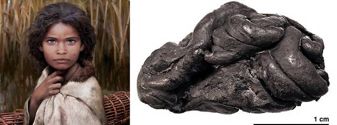 5700년 전 신석기 시대의 어린 소녀가 씹었던 껌에서 추출한 유전체(게놈) 정보를 토대로 추정한 소녀의 모습 상상도(왼쪽)와 덴마크에서 발견된 껌 화석. [사진 제공 = 덴마크 코펜하겐대]