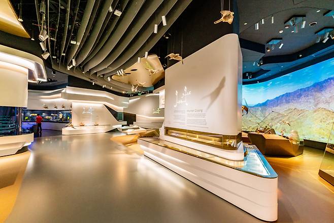 아라비아반도의 다양한 지질학적 측면을 볼 수 있는 자연사 박물관