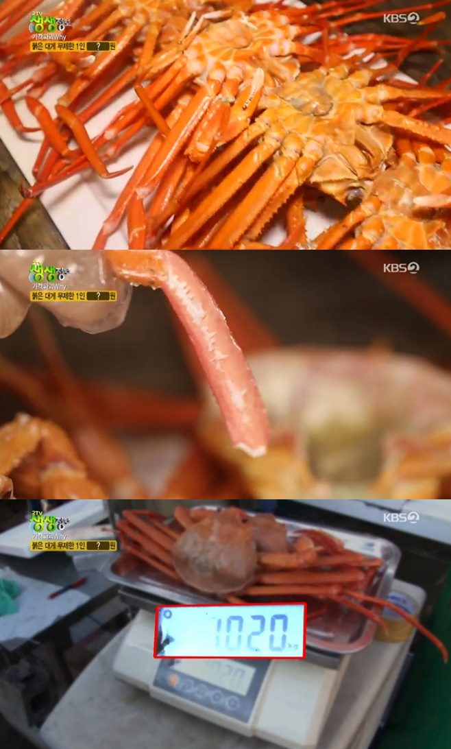 ‘2TV 생생정보 가격파괴WHY’ 붉은대게무한리필 울진왕돌초 맛집