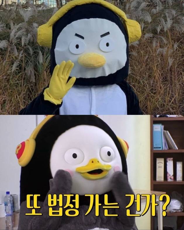 인사혁신처가 펭수를 패러디한 펑수, 오리지널 펭수/사진=인사혁신처 영상 캡처, 자이언트 펭TV 영상 캡처