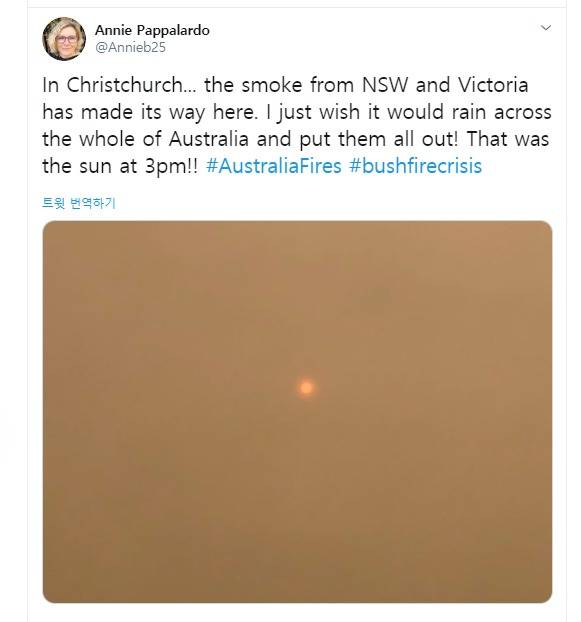 (출처 = 트위터) © 뉴스1