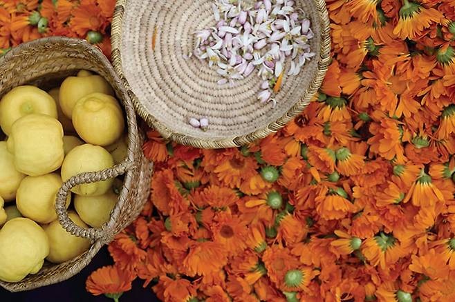 우리카 정원에서 직접 수확한 레몬과 메리골드 꽃.