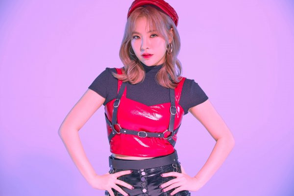 담이