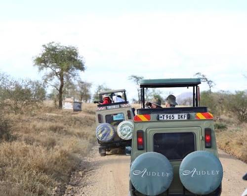사파리에 나선 관광객들 [사진/성연재 기자]