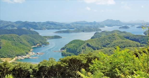 백제 유민들이 쌓은 가네다성이 있는 대마도 아소만(灣) 일대. 우리의 남해안보다 훨씬 조밀한 리아스식 해안으로 유명하다.