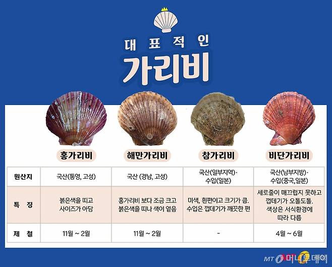 가리비 4종 비교/디자인=유연수디자이너
