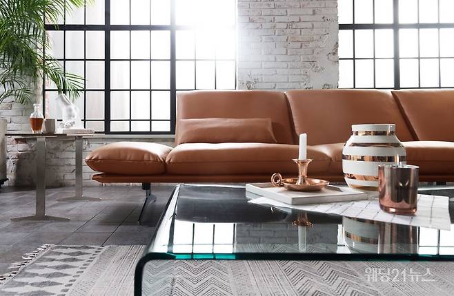 사진 : 도무스디자인(DOMUS design), 코이노 프란시스 코냑