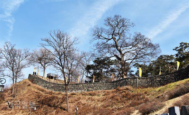 성곽 서편에서 올려다본 공산성 금서루 일대 풍경. 성곽길을 따라 한 바퀴 산책할 수 있다.