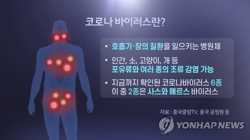 코로나바이러스란? (CG) [연합뉴스TV 제공]