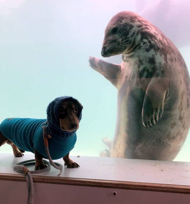 사진=멜라니 탤벗 인스타그램