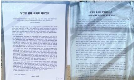 숙명여대에 붙은 ‘트랜스젠더 입학’ 찬성·반대 대자보. 뉴시스