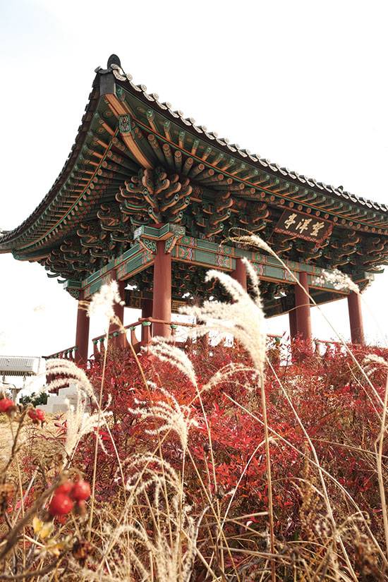 관동 8경 중 하나인 망양정은 정철의 『관동별곡』에도 묘사돼 있다.