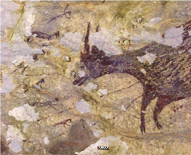 인도네시아 술라웨시 섬에서 발견된 인류가 그린 가장 오래된 동굴벽화. 4만 3900년 전 그려진 것으로 작고 사나운 물소(오른쪽)와, 이를 사냥하는 6명의 작은 사람들(왼쪽 작은 그림들)을 묘사하고 있다. 네이처 제공