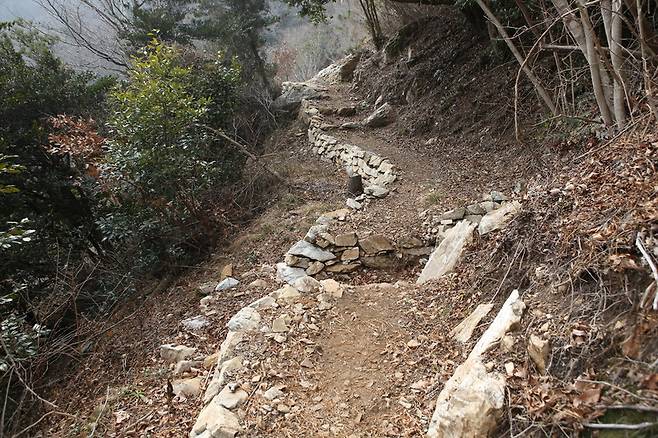 달마고도 3코스 길. 김선식 기자