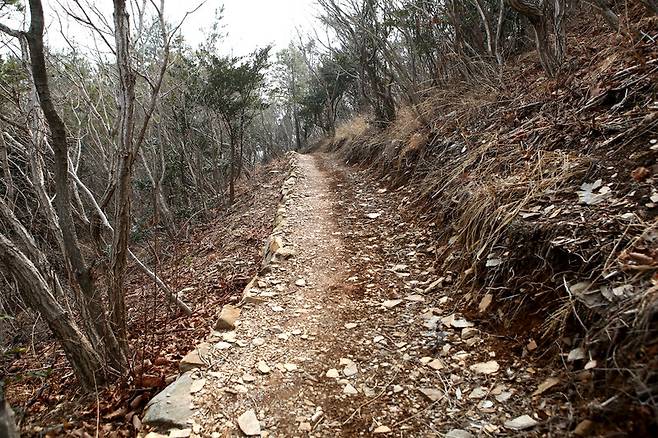 달마고도 3코스. 김선식 기자