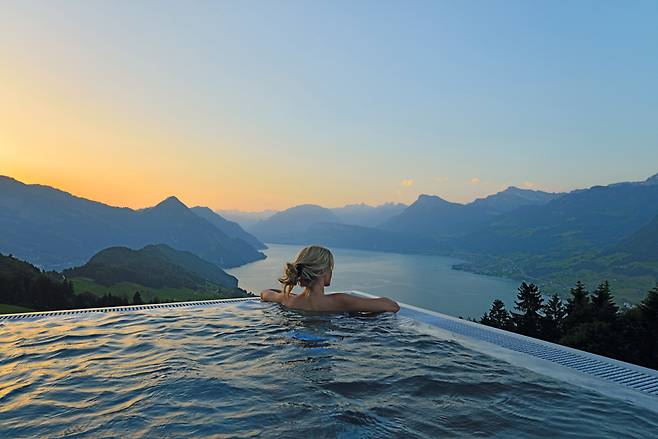 호텔 빌라 호네그Hotel Villa Honegg