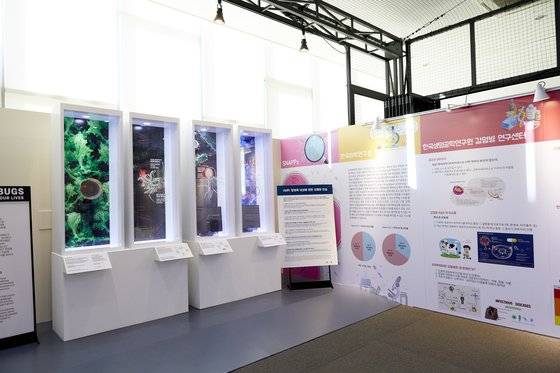 대전 국립중앙과학관에서 열리고 있는 ‘슈퍼버그 : 우리의 삶을 위한 투쟁’ 특별전에서는 슈퍼 박테리아를 막고 항생제를 오랫동안 사용하기 위한 사람들의 노력, 인간에게 질병을 유발하는 세균들과 유해한 세균과 싸우기 위한 다양한 방법들까지 다양한 내용을 만날 수 있다.