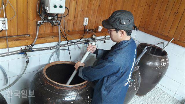 신평양조장 김동교 대표가 발효실에서 숙성 중인 항아리의 막걸리를 젓고 있다.