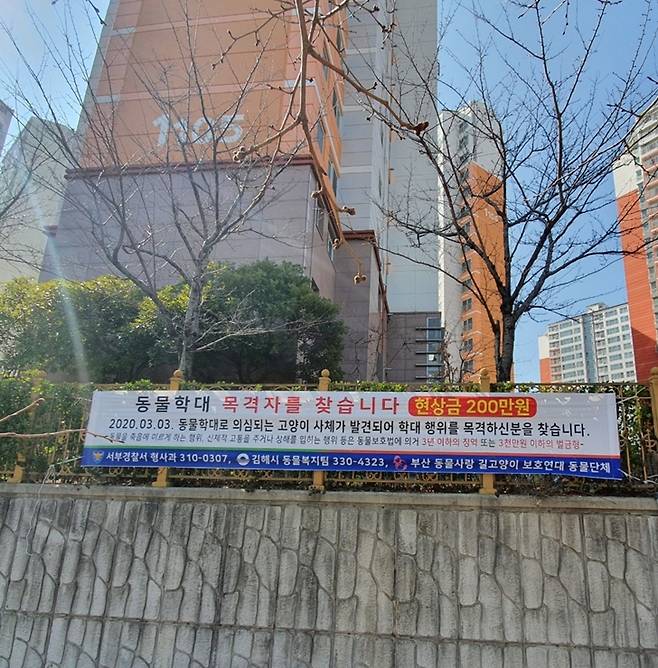 ▲ 고양이 사체가 발견된 아파트 인근에 부산길고양이보호연대가 경고 현수막을 부착했다. 사진=부산길고양이보호연대