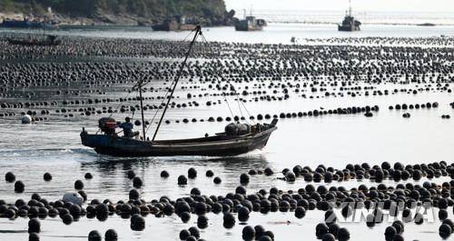 중국 랴오닝성 다롄 연안의 고기잡이배 [신화=연합뉴스 자료사진]