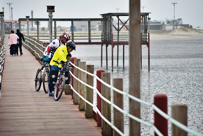 증도 짱뚱어다리.