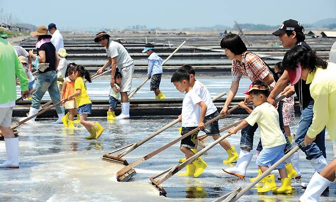 증도 염전체험.